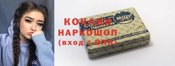 гидра Алексин