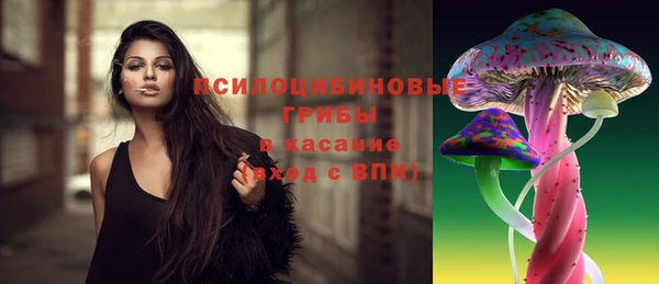 СК Алексеевка