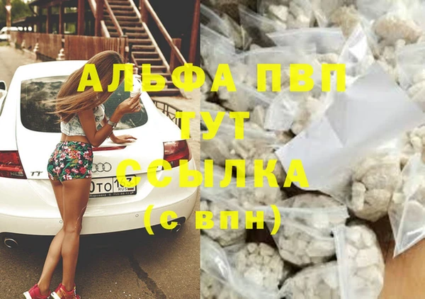 гидра Алзамай