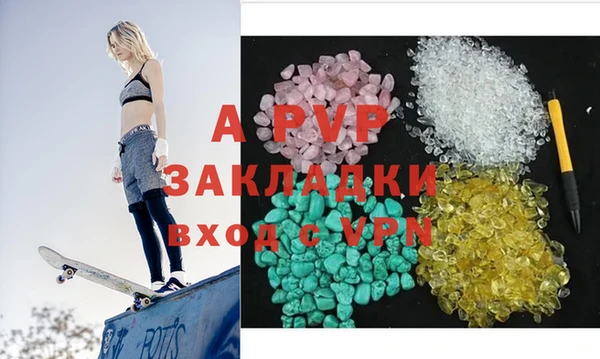 гидра Алексин