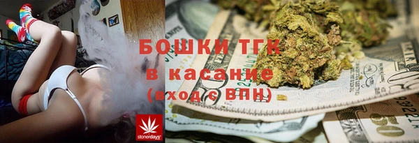 гидра Алексин