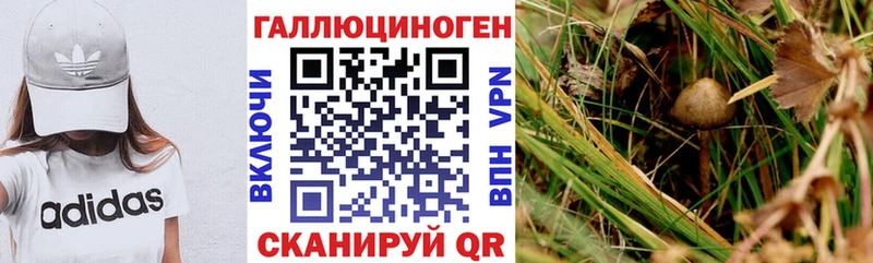 Галлюциногенные грибы ЛСД  Каргат 